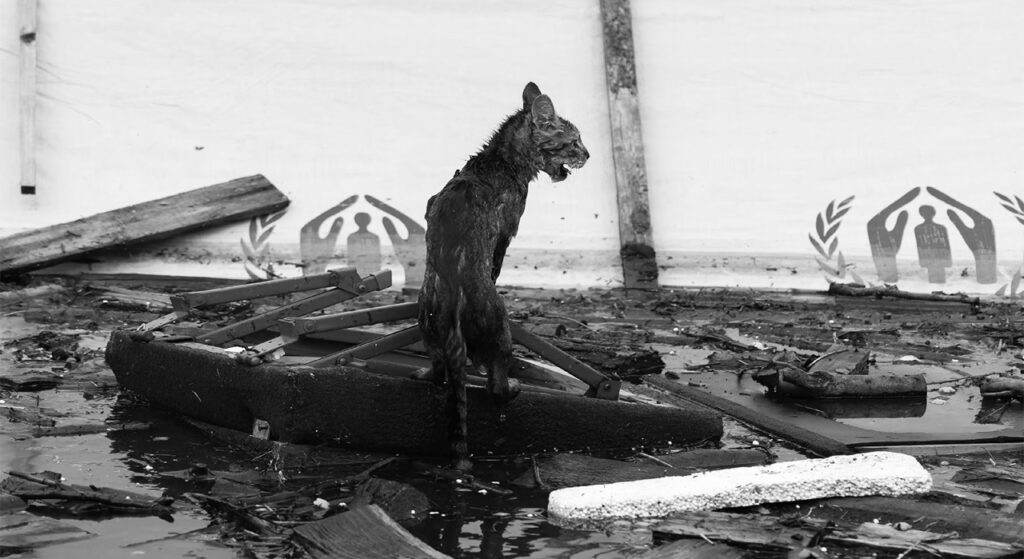 ecocide-nova-kakhovka-damned-page